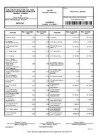 DPS Blinans za 2024 r..pdf
